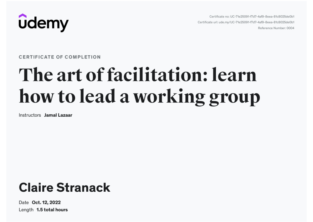 The art of facilitation Udemy